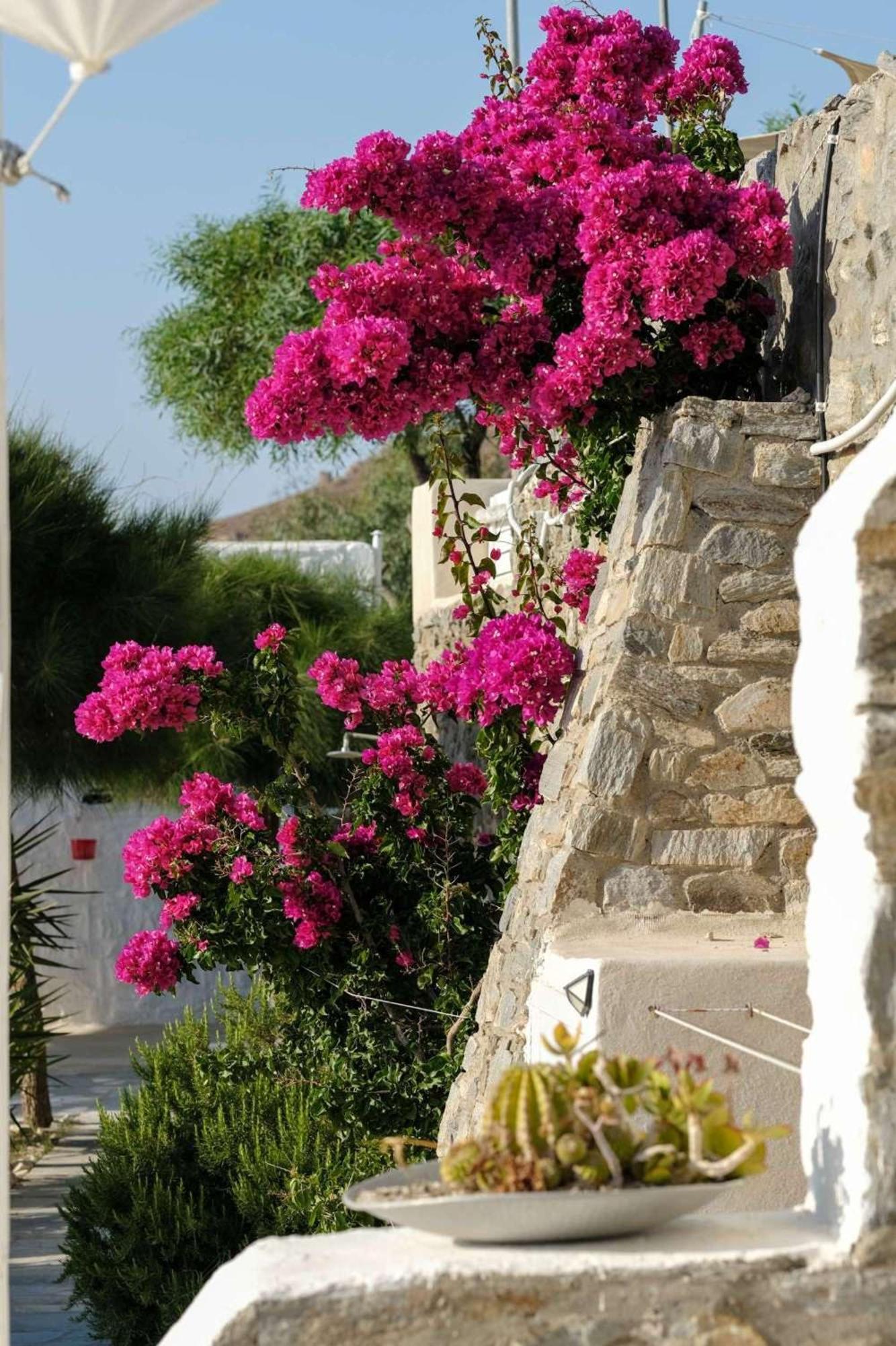 3 Paros All Season Villas Екстериор снимка